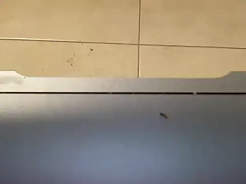 4small4inchlol webcam