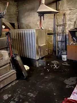 _uncle_Mitya-43_ webcam