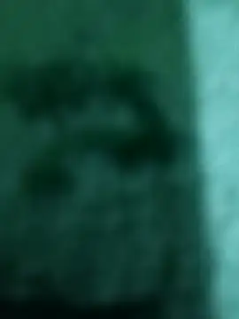 francheskaaaaaaaa22ot webcam