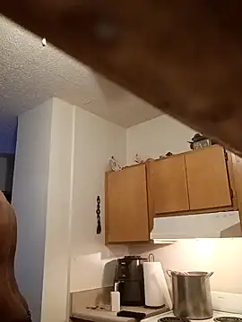 ReallyReallyReal webcam