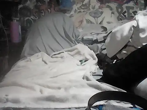 Twoslipperywhenwett webcam