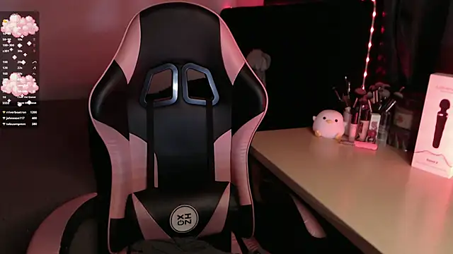 Theprojectsaraa webcam