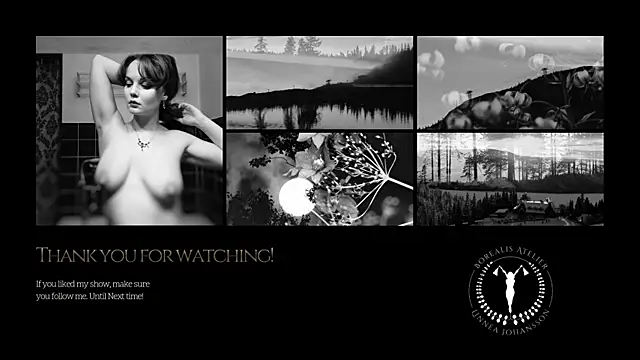 Borealisatelier webcam