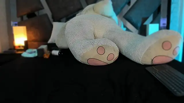 Venus_in_earth webcam