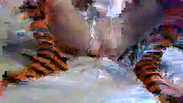 femboybunny22 webcam