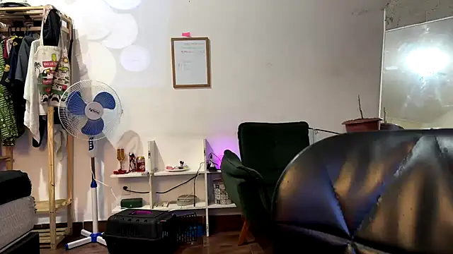 gerson173Hugo webcam