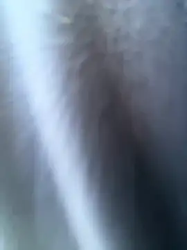 ZarahFerreira webcam