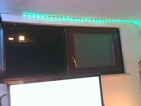 GrizzyLemming webcam