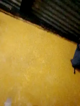 HornyAss_Bitch webcam