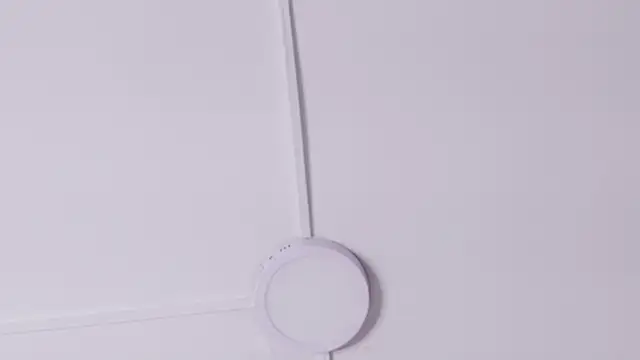 CristalAndDeimon webcam