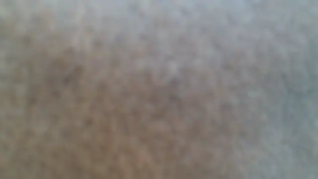 SexyAssQueenX webcam