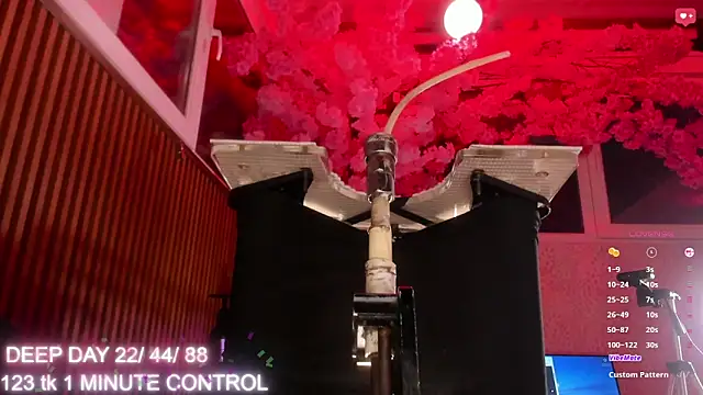 aliseparker2021 webcam