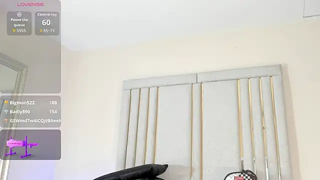 Liincostelloo webcam