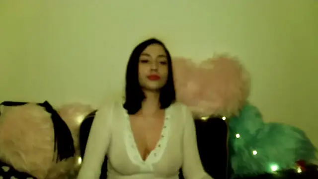 KaylaMagnetic webcam