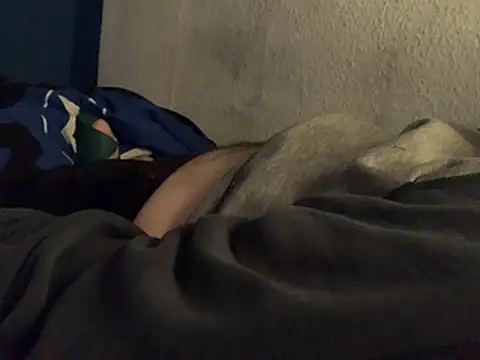 GeilerHSVFAN1989 webcam