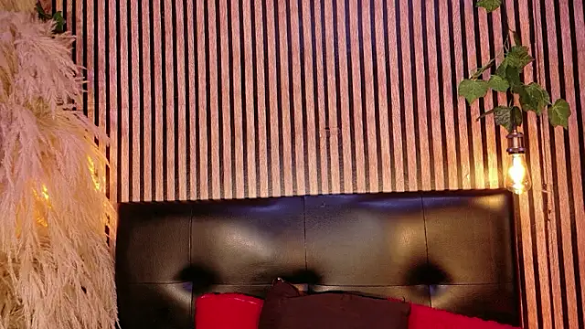 Hiddenhotcake webcam