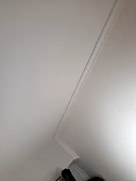 Tulio_maravilha12 webcam