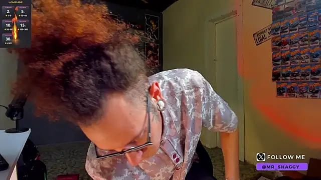 MrShaggy