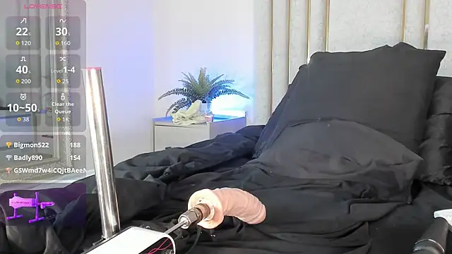 Liincostelloo webcam