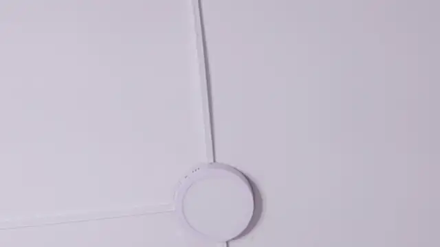 CristalAndDeimon webcam