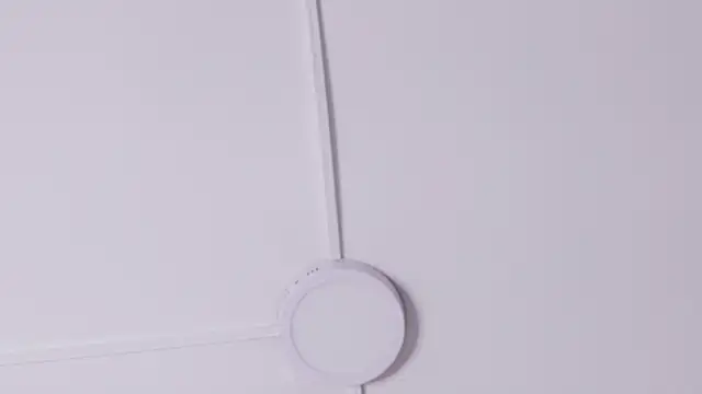 CristalAndDeimon webcam