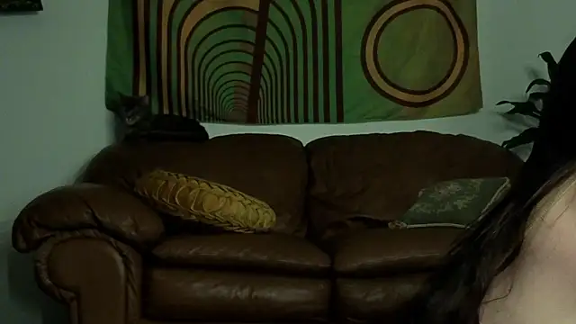 bruisedblossoms webcam