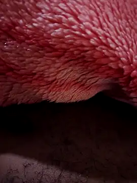 TornadoStorm35 webcam