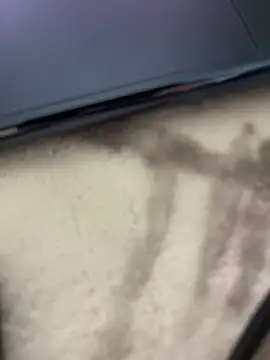 elpapigrande12 webcam