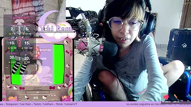 YukiRam webcam