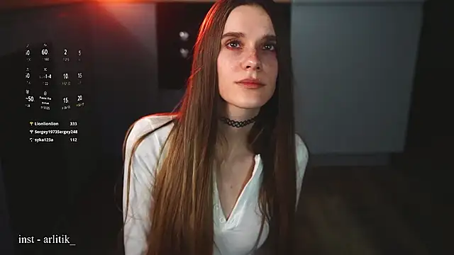 Arlitik webcam