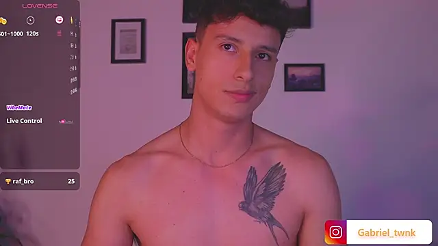 I_Gabriel webcam