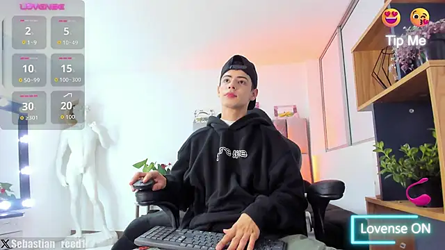 Sebastian_Reed webcam