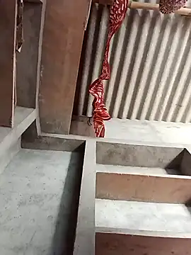 Shreya_pandit webcam