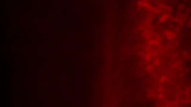 Aydenmiller96 webcam