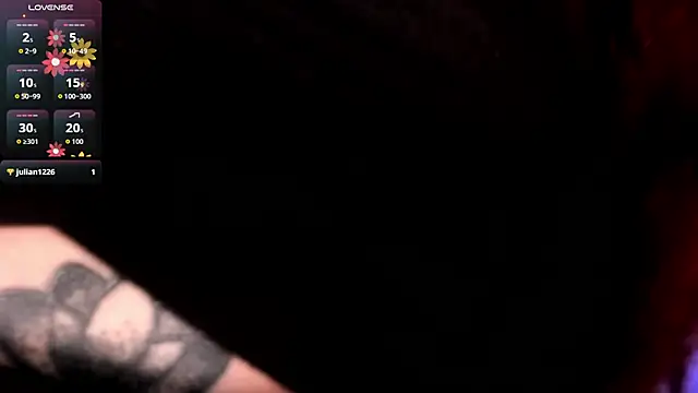 Nicolle_Evanss_ webcam