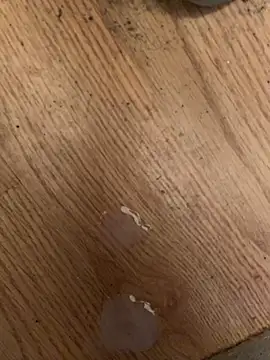 GeilerHSVFAN1989 webcam