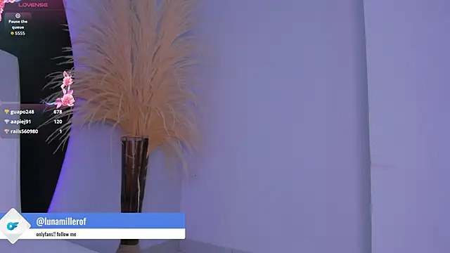 lunamiller_01 webcam