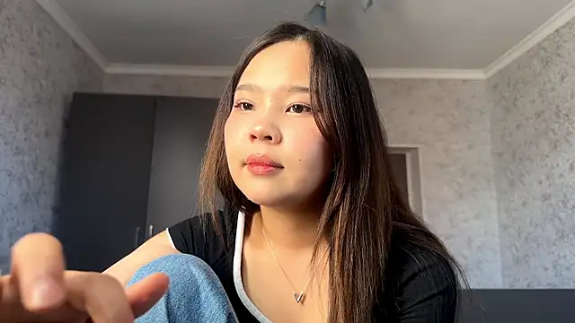 RegenaLandauer webcam