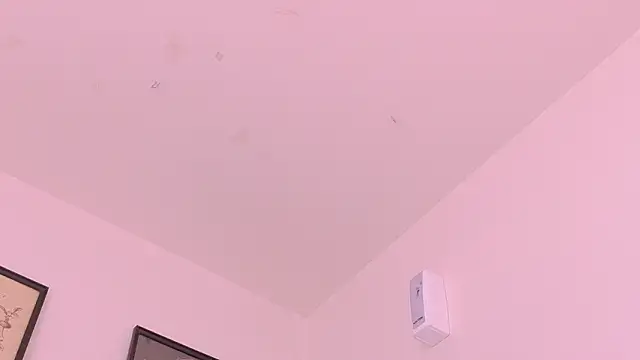 memphiswilliam webcam