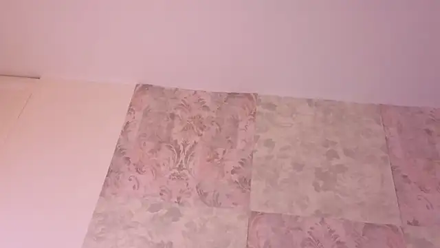 Benny_and_Mark webcam