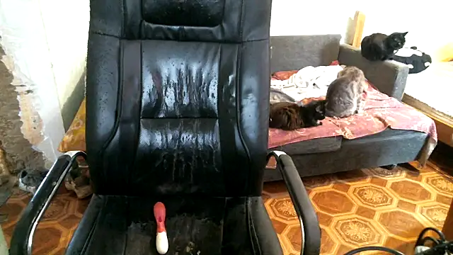 DennisXCaroll webcam