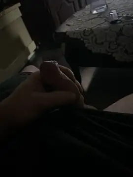 DutchMiracle26 webcam