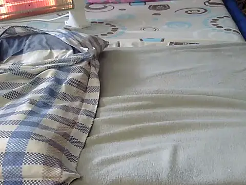 Playroom_queen webcam