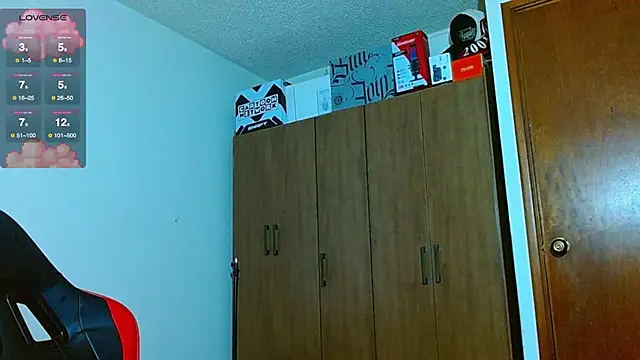 Hgp3riodictabl3 webcam