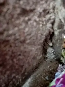 Sunali_Bendre webcam