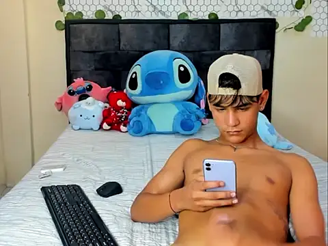 Stiben_coll12 webcam