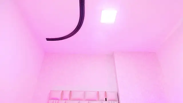 _carolina_fox webcam