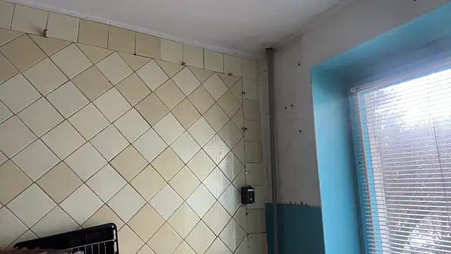 MoonlightVera webcam