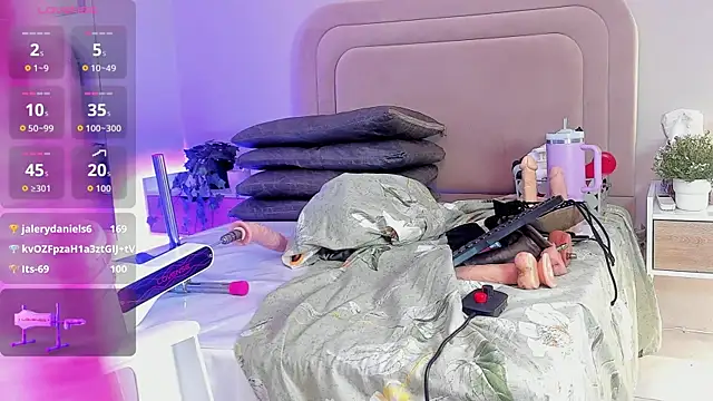 Liincostelloo webcam