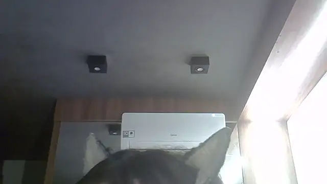 SkinnyKitten live sex cam